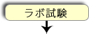 ラボ試験