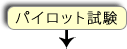 パイロット試験