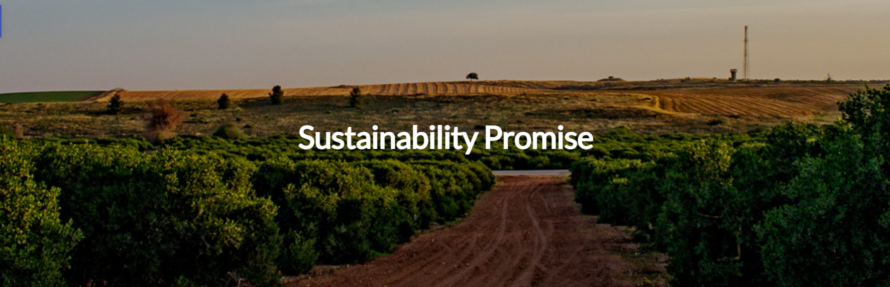 jojoba valley Sustainability Promise