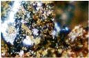 Alpinamed