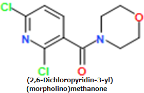 (2,6-Dichloropyridin-3-yl)(morpholino)methanone