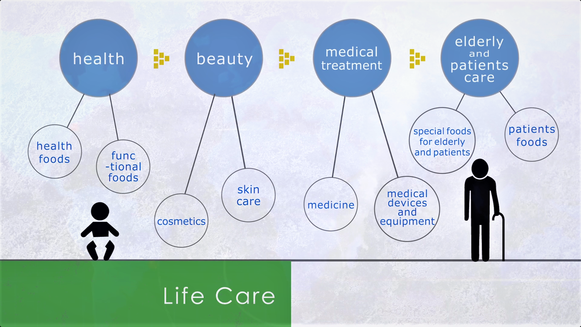 Toyo Lifecre Business domain