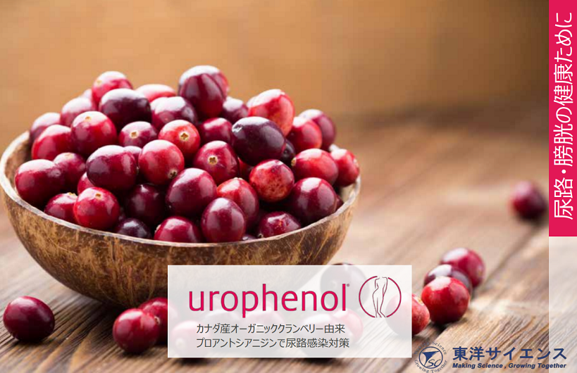 Urophenol