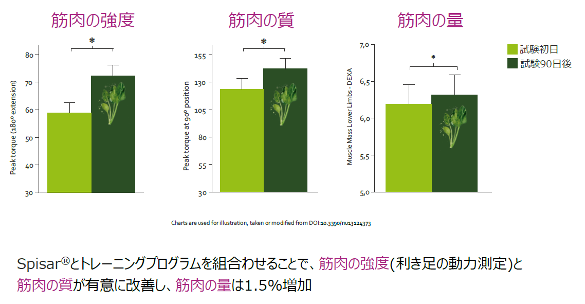 Euromed Spisar スピサル 臨床試験