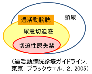 Euromed ノコギリヤシ 効果