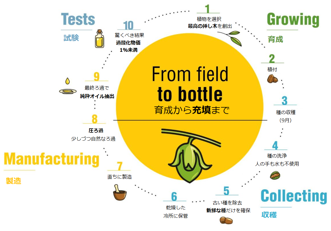 Jojoba Valley製造工程