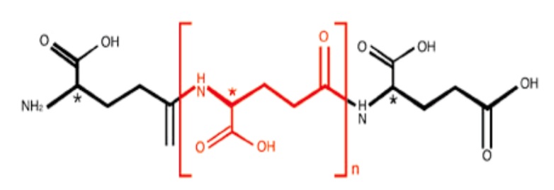 PGA ポリグルタミン酸